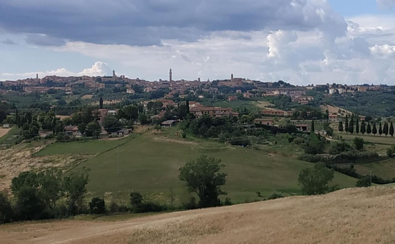 Ponte a TressaLa Casa Nel Poggio 247 Vicino A Sienaアパートメント エクステリア 写真